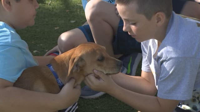 Kids help at the Humane Society of Pinellas County