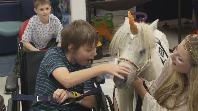 Magic unicorn grants wishes for children at TGH