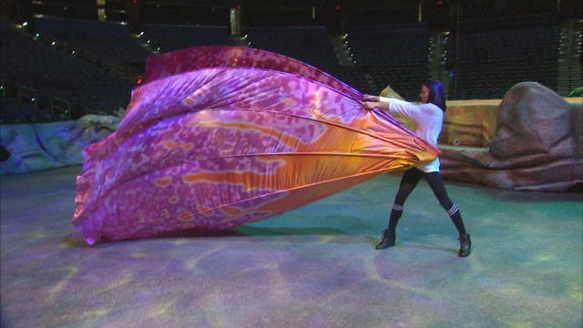 A sneak peek at Cirque Du Soleil's 'Toruk- The First Flight'