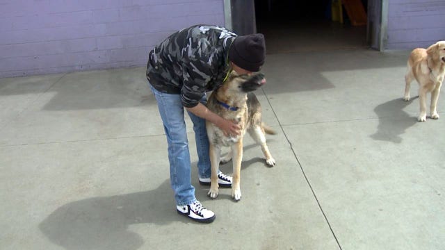 Helping homeless veterans keep their best friends