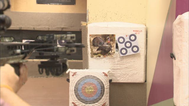 A morning at Adventures Archery