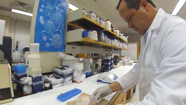 USF duo's device promises to sniff out fish fakes