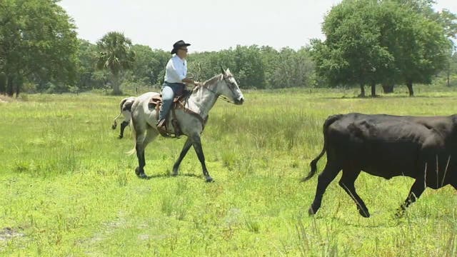 One Tank Trip: Westgate River Ranch