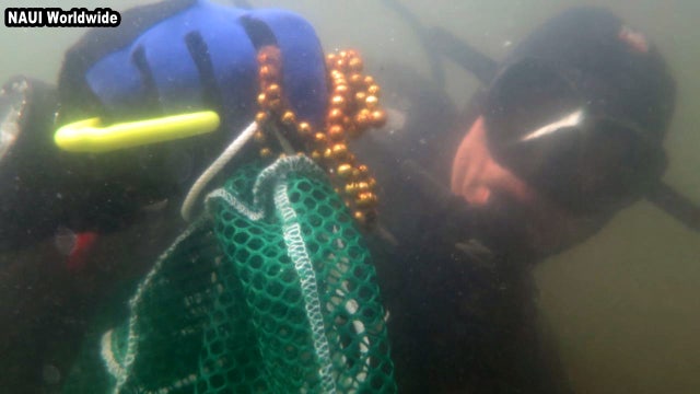 Trashed treasure: Divers dig up 100 pounds of Gasparilla beads