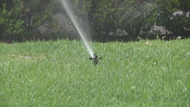 Watering restrictions go into effect Monday for Tampa Bay