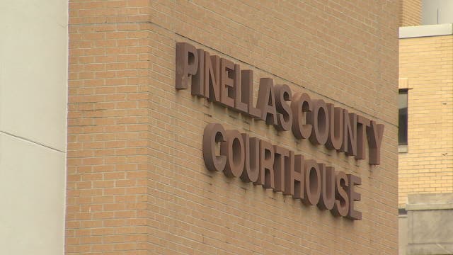 Pinellas County in need of Guardian ad Litem volunteers