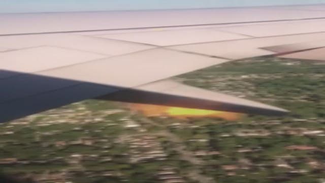 WATCH: Plane's engine spits fire after bird strike