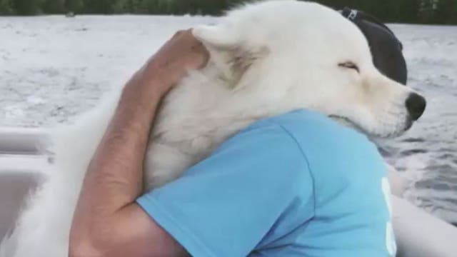 Video of dog and owner hugging goes viral for melting social media's heart