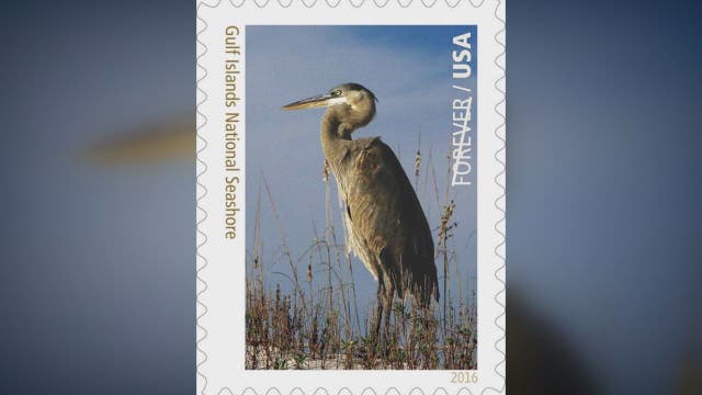 Bay Area photographer's work now on USPS stamp
