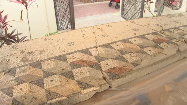 Museum of Arts teams up with USF brewery students