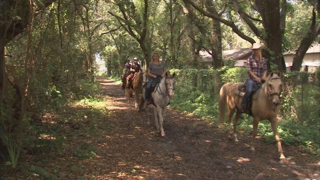 One Tank Trip: Cypress Breeze Farm Horseback Trail