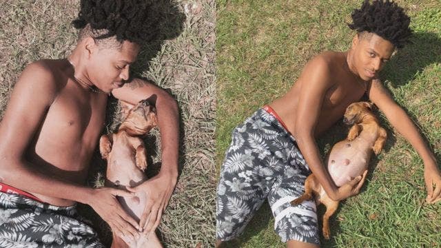 Dog's viral maternity shoot has the internet in tears