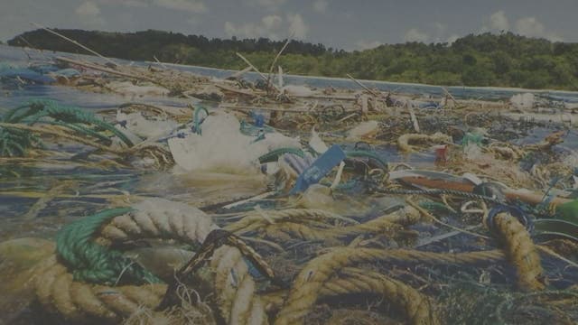 Winter's Ocean Warriors reducing deadly ocean trash