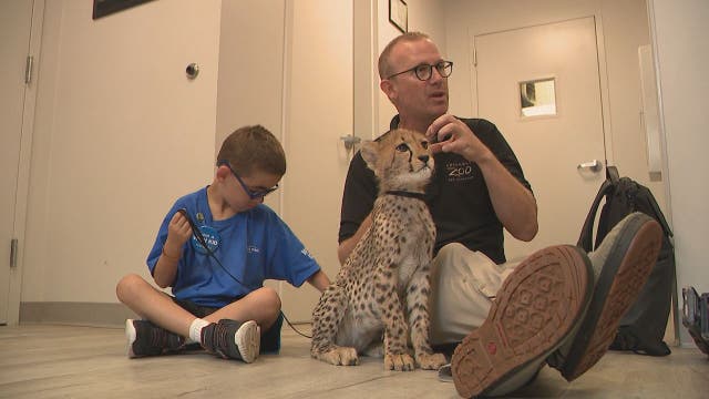 Make-A-Wish grants Ohio boy's wish to become a zookeeper