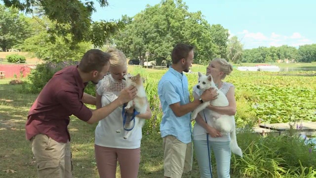 Identical twin brothers to wed identical sisters