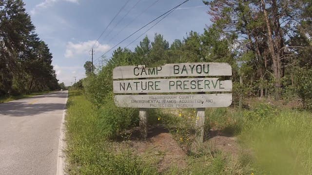 Bayou Nature Center connects children with nature