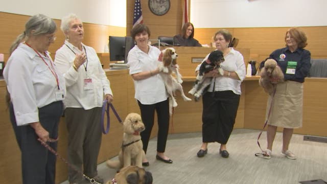 Manatee court swears-in first courtroom support dogs