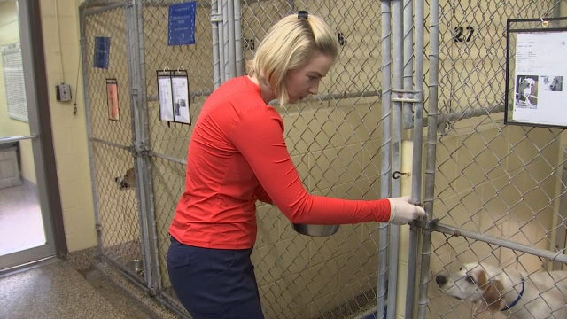 On the job with the Humane Society of Tampa Bay