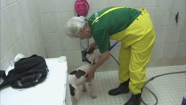 Hometown Heroes: Volunteer dedicates decades to Humane Society
