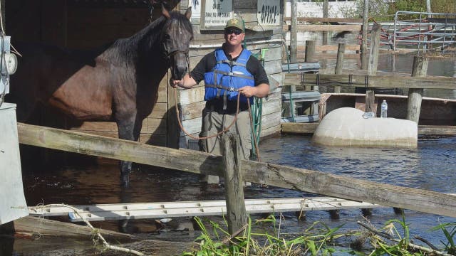 Highlands County officials rescue animals from flooded stable