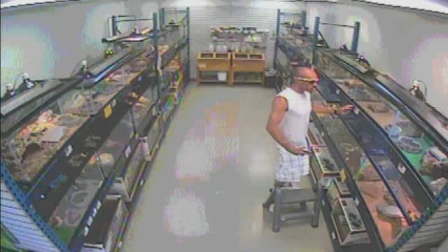 WATCH: Suspect stuffs snake in pants