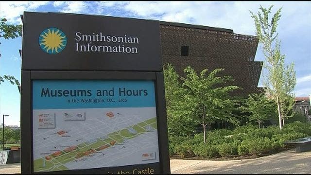 'Museum Day Live' coming to Tampa Bay museums