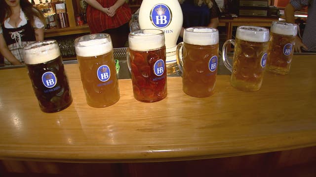 Hofbräuhaus in St. Pete celebrating Oktoberfest, German-style