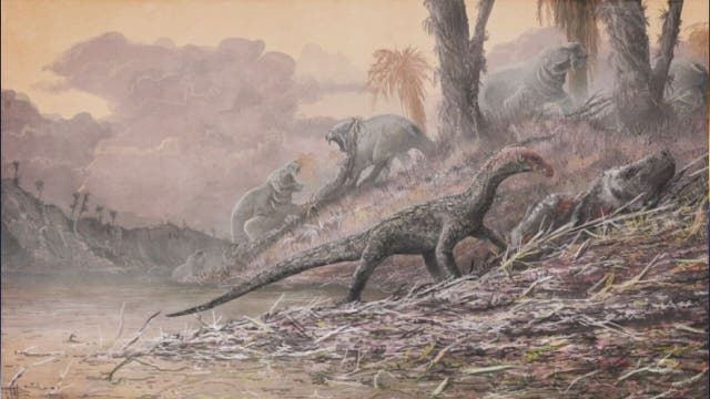 Earth's past seen from light years away