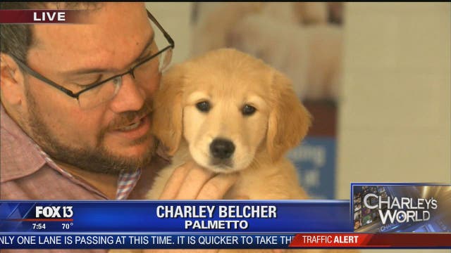 PUPPIES! At the Southeastern Guide Dogs training facility
