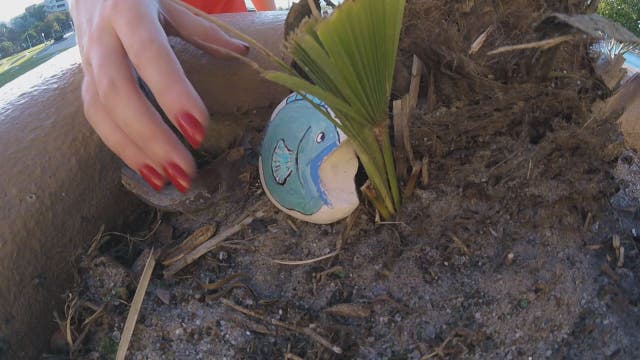 Lakeland Rocks: Residents hide painted stones around city
