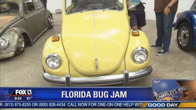Bug Jam preview