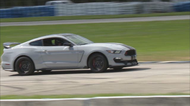 Behind the wheel of a Shelby Mustang at Sebring