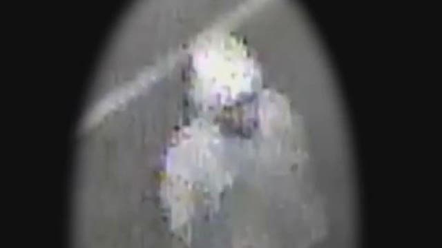 Subject now suspect after new video surfaces from Seminole Heights