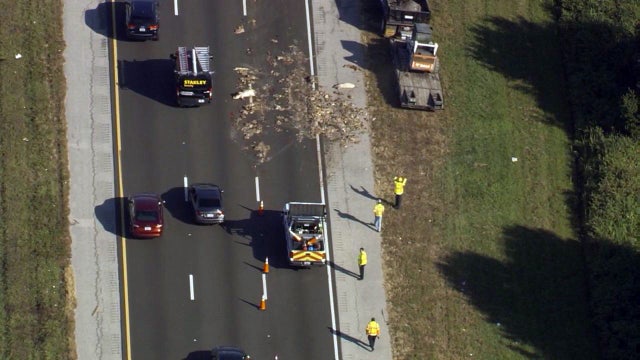 Pig carcasses block Sarasota I-75 traffic