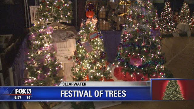A morning at the Festival of Trees