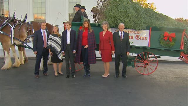 Melania Trump takes custody of White House Christmas tree