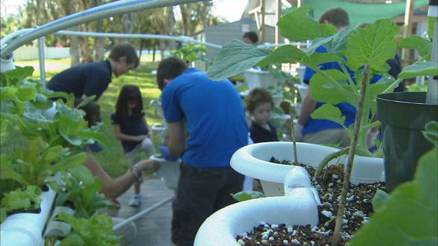 Hometown Heroes: Student garden gives back
