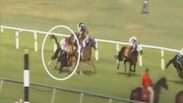 Bay Area jockey hospitalized after thrown from horse during race