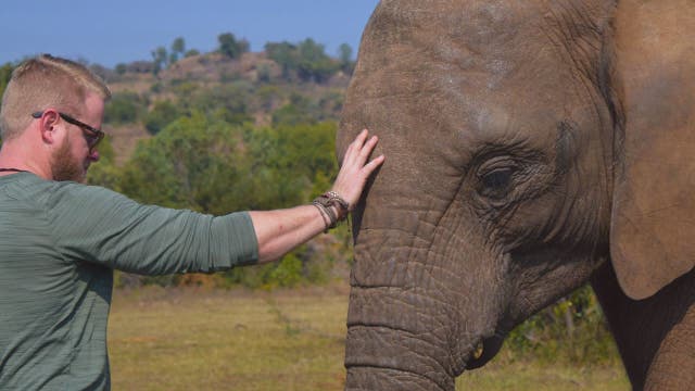 Tampa veteran fights poaching in Africa