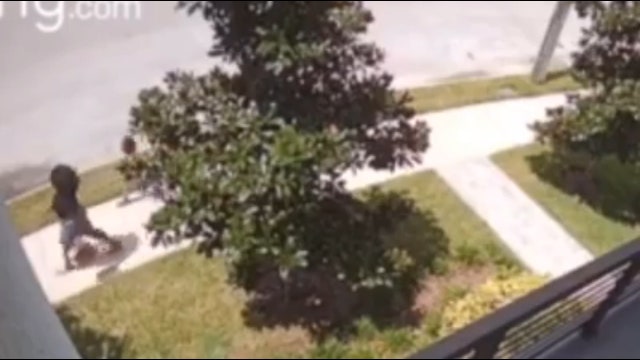 Porch pirate brings along child to take package from Tampa home
