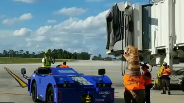 T-Rex marshals an aircraft into the gate at Orlando airport