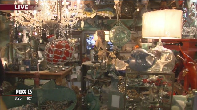 Digging up treasure at the Sea Hagg