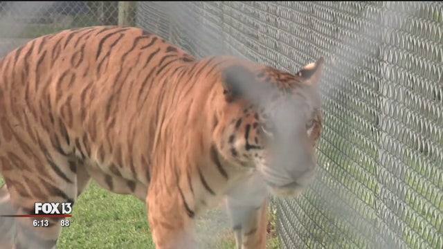 Hillsborough's newest dog park opens today