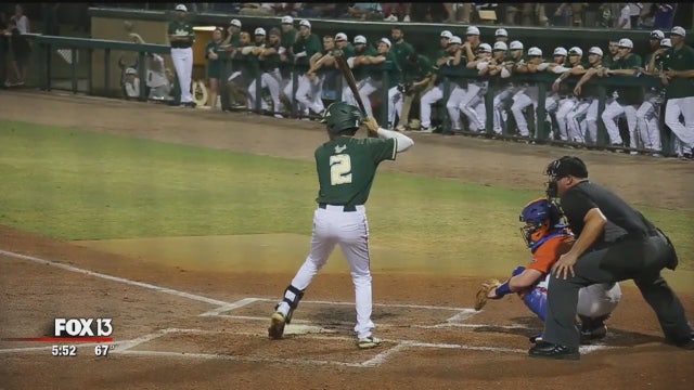 USF baseball to face Rays in Port Charlotte next week