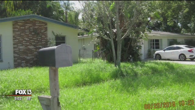 Code violations for uncut grass could mean foreclosure for Dunedin man