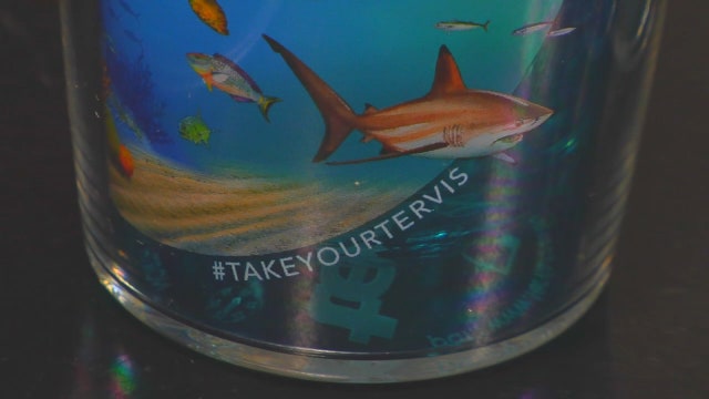 Tervis giving away 10,000 tumblers to reduce plastic waste