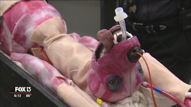 Robotic dog allows vet student training without animal testing