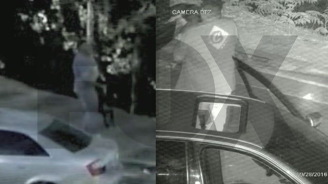 Video shows man throwing dog over hill in SoCal - again