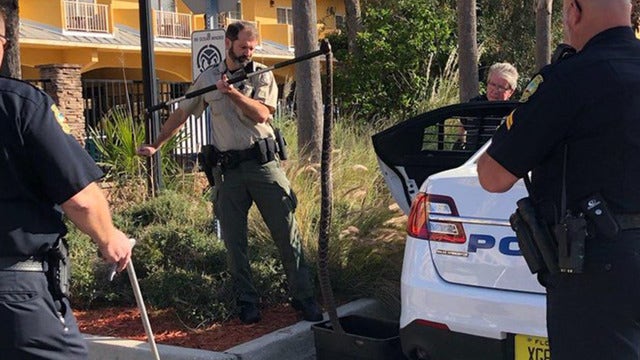 Homeless man claimed God told him to rescue rattlesnake in Jacksonville Beach, police say