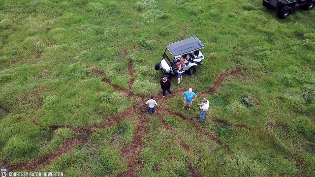 Lightning's fingerprint: Bolt leaves striking scar in Highlands pasture